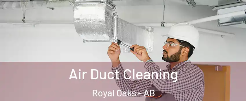  Air Duct Cleaning Royal Oaks - AB
