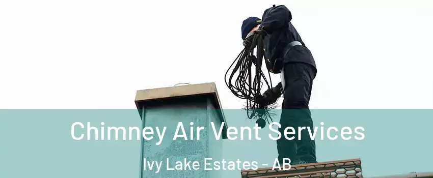  Chimney Air Vent Services Ivy Lake Estates - AB