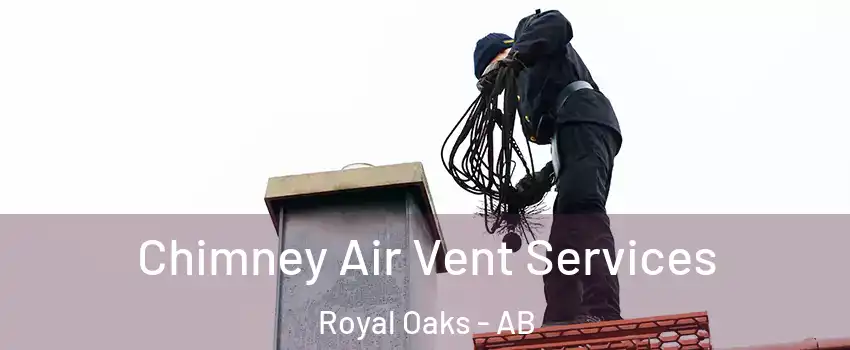  Chimney Air Vent Services Royal Oaks - AB