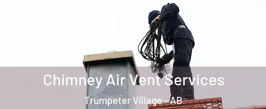  Chimney Air Vent Services Trumpeter Village - AB