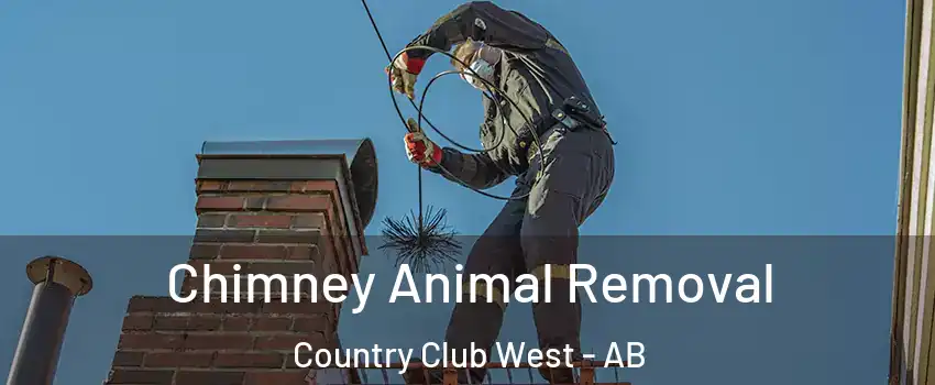 Chimney Animal Removal Country Club West - AB