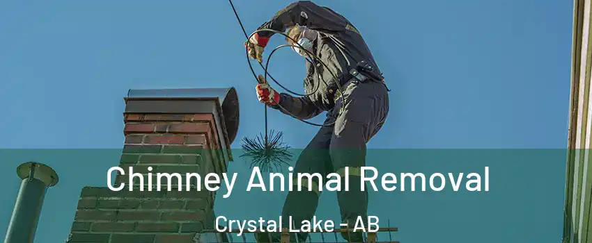 Chimney Animal Removal Crystal Lake - AB