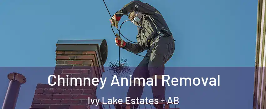 Chimney Animal Removal Ivy Lake Estates - AB