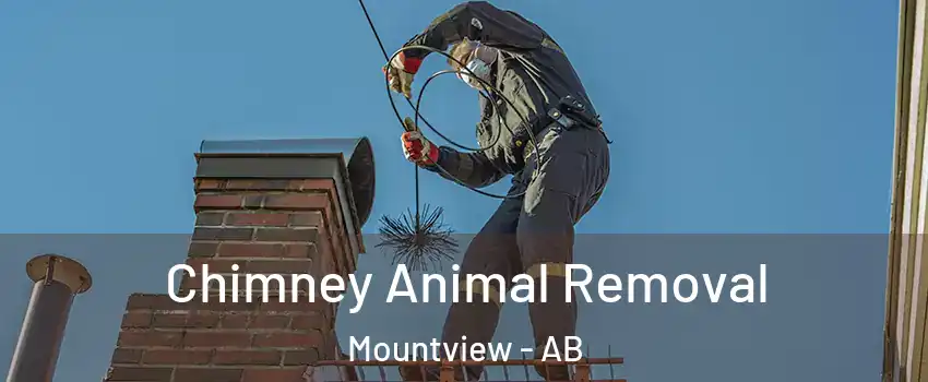  Chimney Animal Removal Mountview - AB