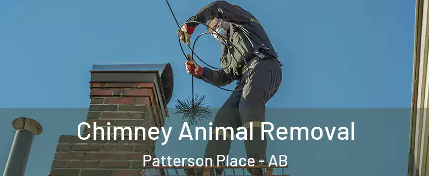  Chimney Animal Removal Patterson Place - AB