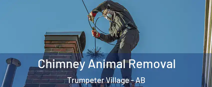  Chimney Animal Removal Trumpeter Village - AB