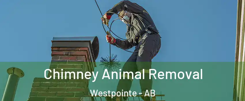 Chimney Animal Removal Westpointe - AB