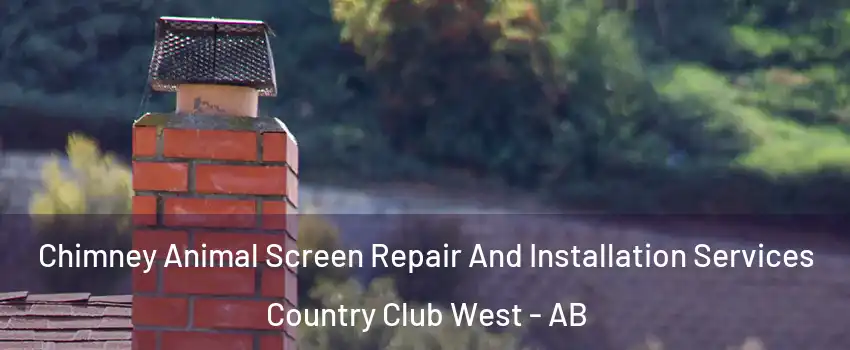  Chimney Animal Screen Repair And Installation Services Country Club West - AB