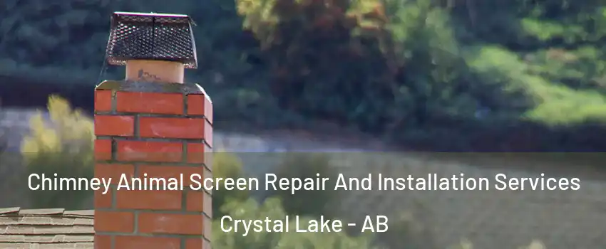  Chimney Animal Screen Repair And Installation Services Crystal Lake - AB
