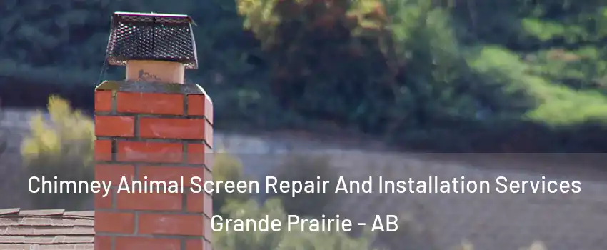  Chimney Animal Screen Repair And Installation Services Grande Prairie - AB