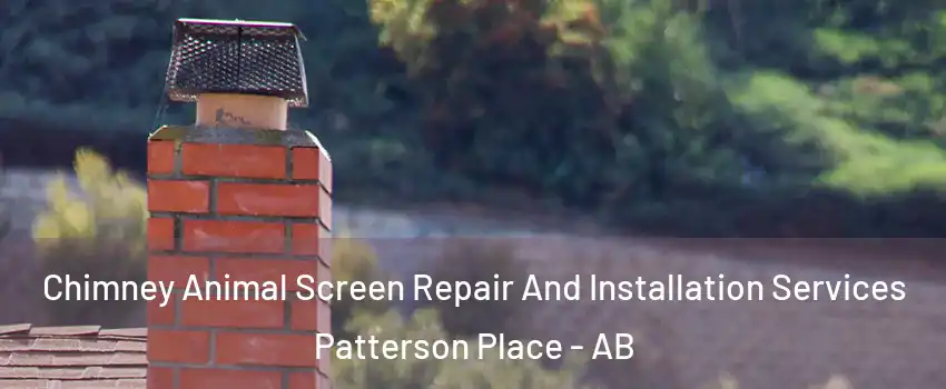  Chimney Animal Screen Repair And Installation Services Patterson Place - AB