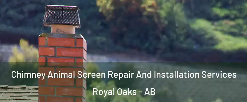  Chimney Animal Screen Repair And Installation Services Royal Oaks - AB