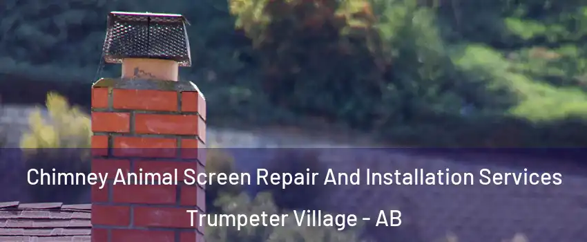  Chimney Animal Screen Repair And Installation Services Trumpeter Village - AB