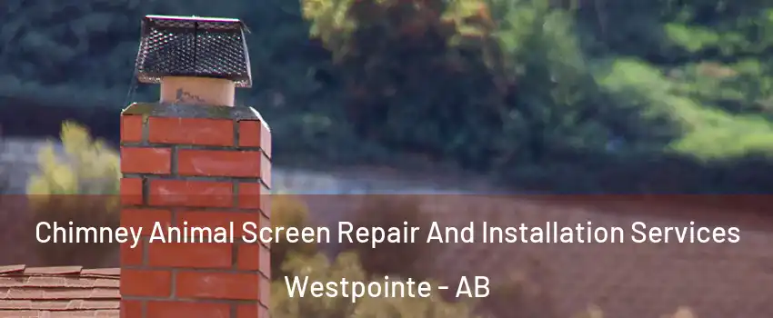  Chimney Animal Screen Repair And Installation Services Westpointe - AB