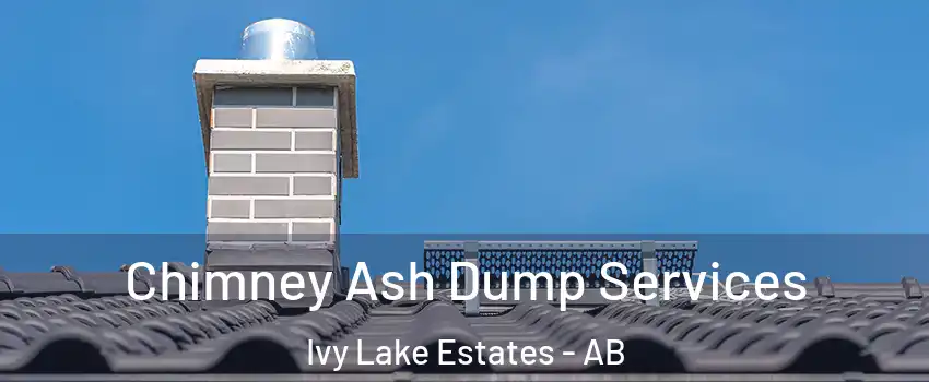  Chimney Ash Dump Services Ivy Lake Estates - AB