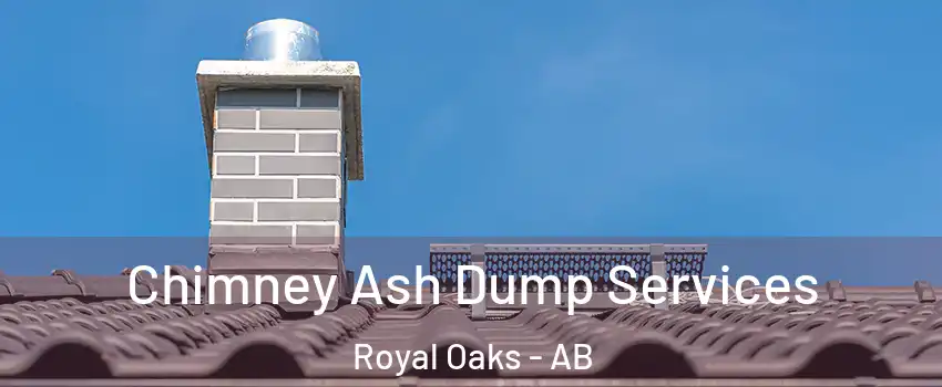  Chimney Ash Dump Services Royal Oaks - AB
