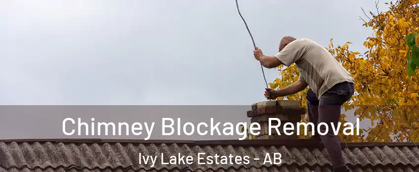  Chimney Blockage Removal Ivy Lake Estates - AB