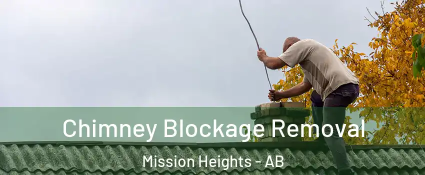  Chimney Blockage Removal Mission Heights - AB