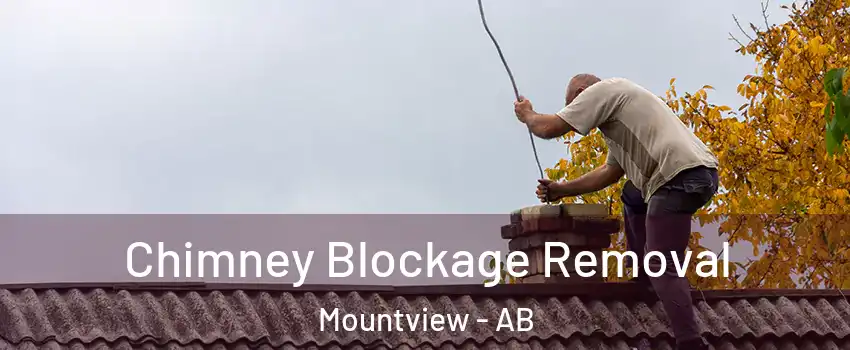  Chimney Blockage Removal Mountview - AB