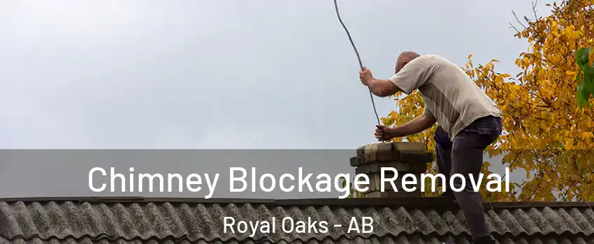  Chimney Blockage Removal Royal Oaks - AB