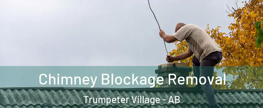  Chimney Blockage Removal Trumpeter Village - AB