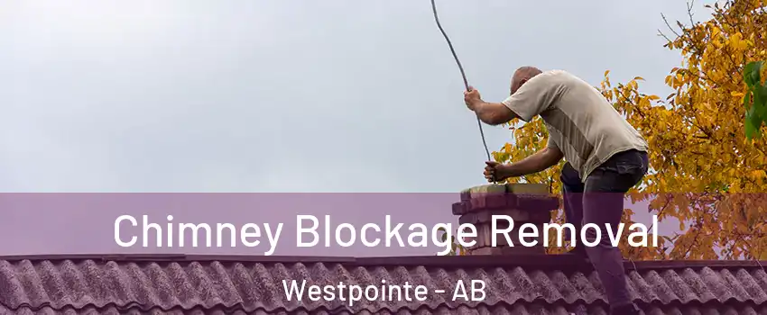  Chimney Blockage Removal Westpointe - AB