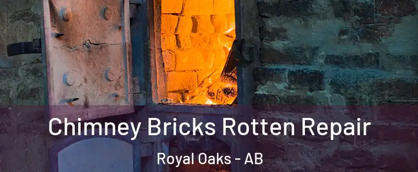  Chimney Bricks Rotten Repair Royal Oaks - AB