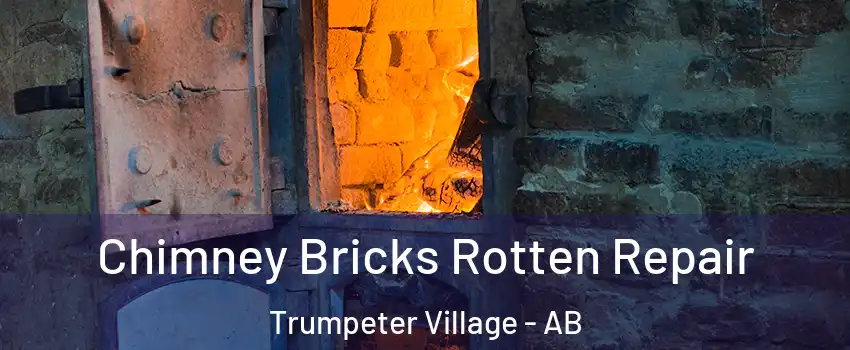  Chimney Bricks Rotten Repair Trumpeter Village - AB
