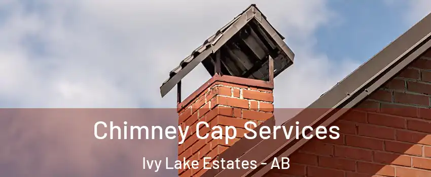  Chimney Cap Services Ivy Lake Estates - AB