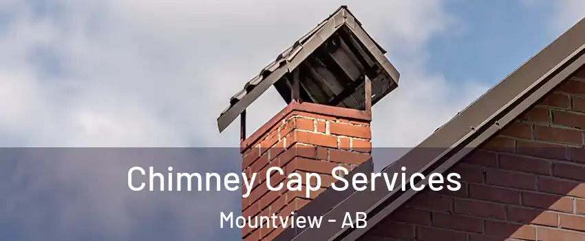  Chimney Cap Services Mountview - AB