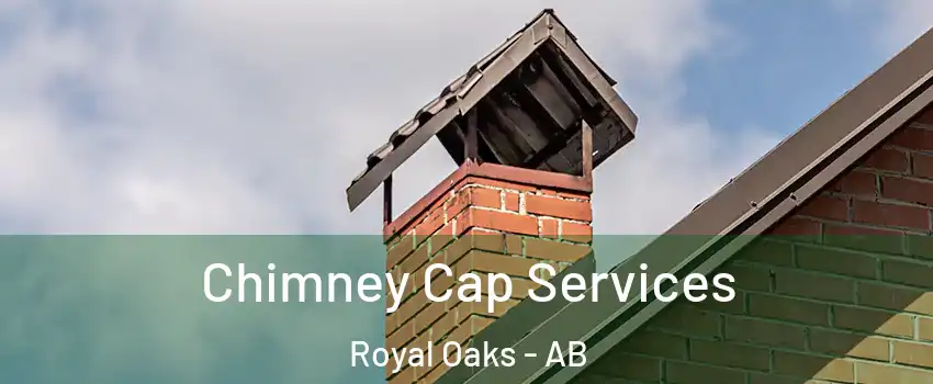  Chimney Cap Services Royal Oaks - AB