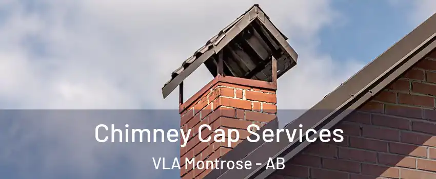  Chimney Cap Services VLA Montrose - AB
