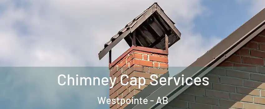  Chimney Cap Services Westpointe - AB