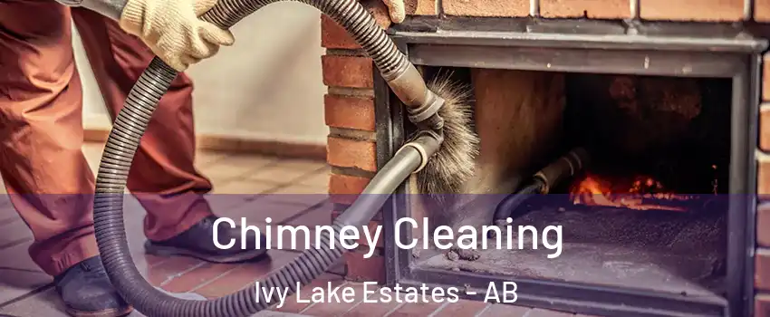  Chimney Cleaning Ivy Lake Estates - AB