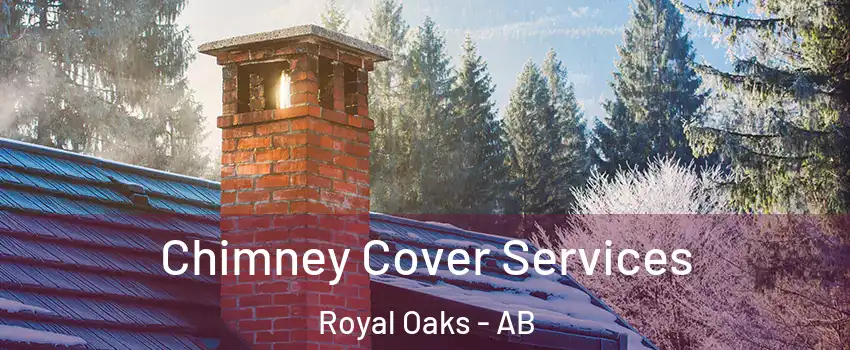  Chimney Cover Services Royal Oaks - AB