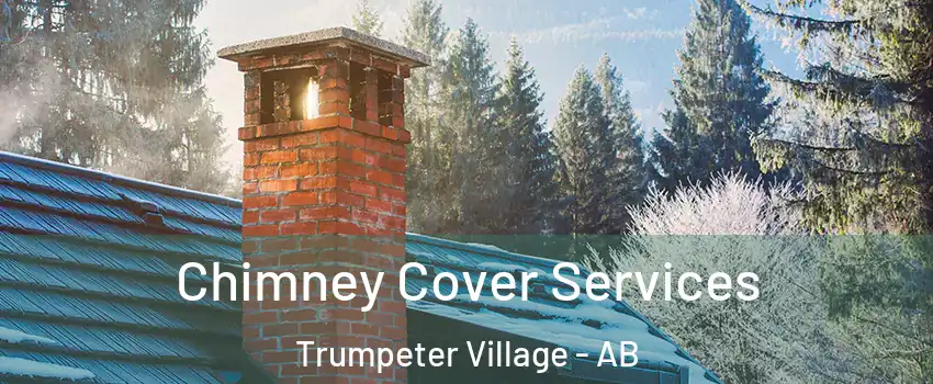  Chimney Cover Services Trumpeter Village - AB