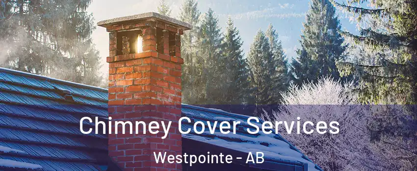  Chimney Cover Services Westpointe - AB
