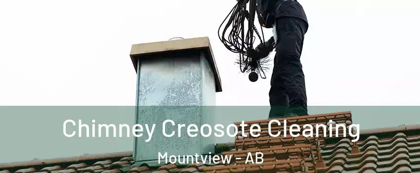  Chimney Creosote Cleaning Mountview - AB