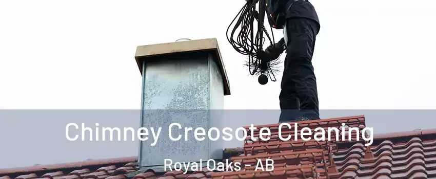  Chimney Creosote Cleaning Royal Oaks - AB