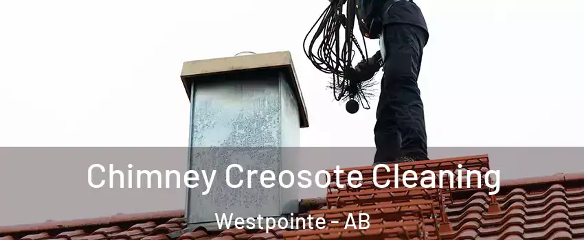 Chimney Creosote Cleaning Westpointe - AB