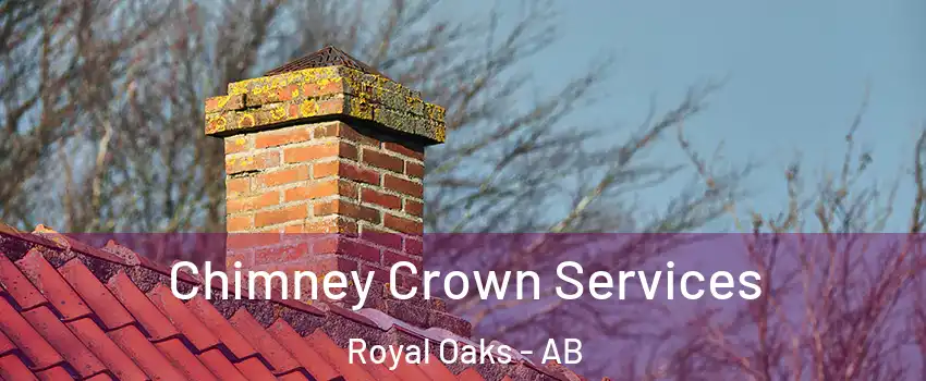  Chimney Crown Services Royal Oaks - AB