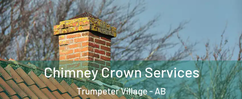  Chimney Crown Services Trumpeter Village - AB
