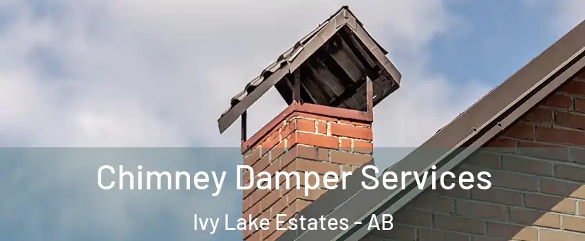  Chimney Damper Services Ivy Lake Estates - AB