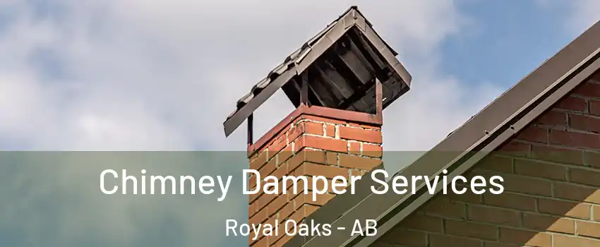  Chimney Damper Services Royal Oaks - AB