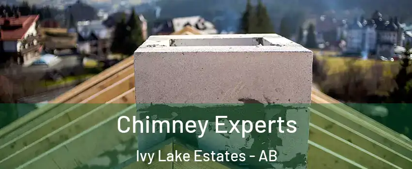 Chimney Experts Ivy Lake Estates - AB