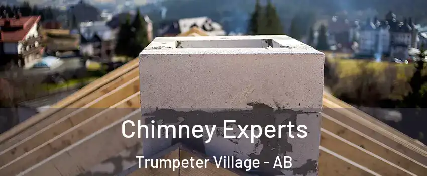  Chimney Experts Trumpeter Village - AB