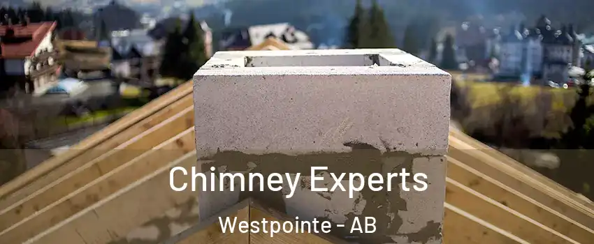 Chimney Experts Westpointe - AB