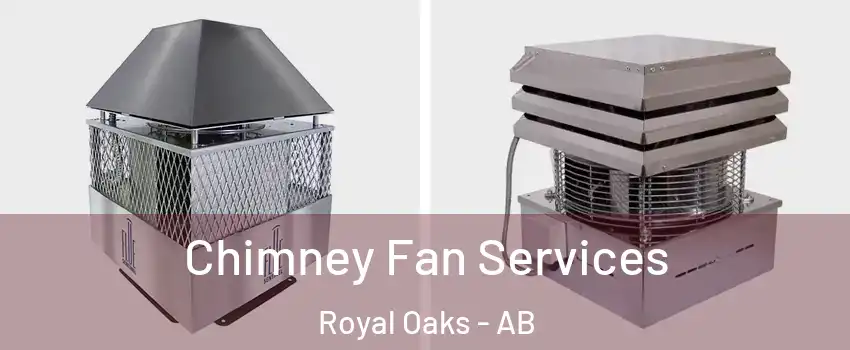  Chimney Fan Services Royal Oaks - AB