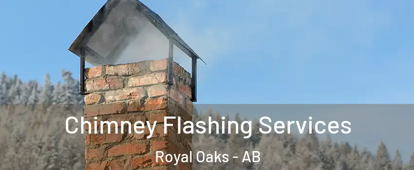 Chimney Flashing Services Royal Oaks - AB