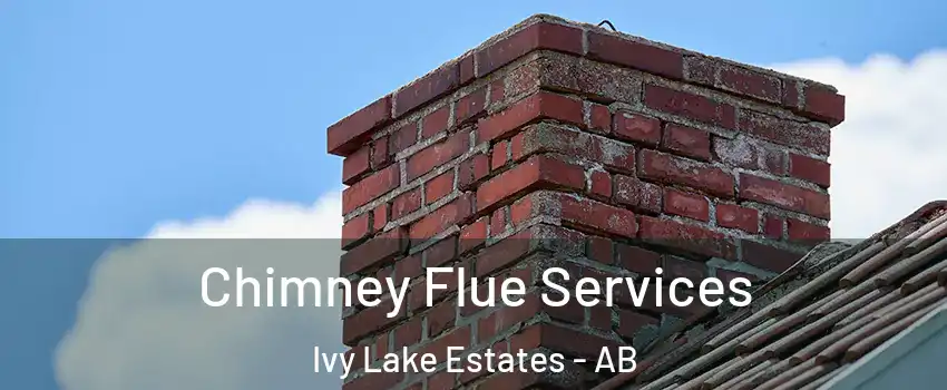  Chimney Flue Services Ivy Lake Estates - AB